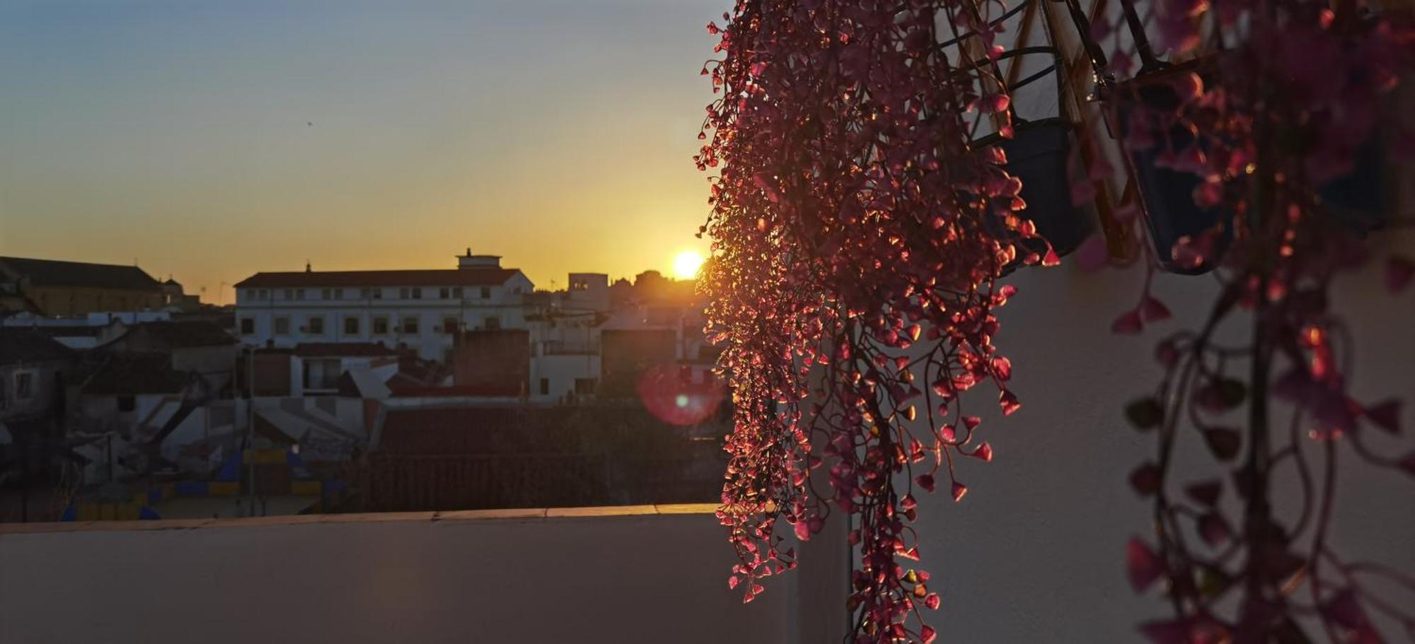 La Luz De San Eloy Daire Cordoba Dış mekan fotoğraf
